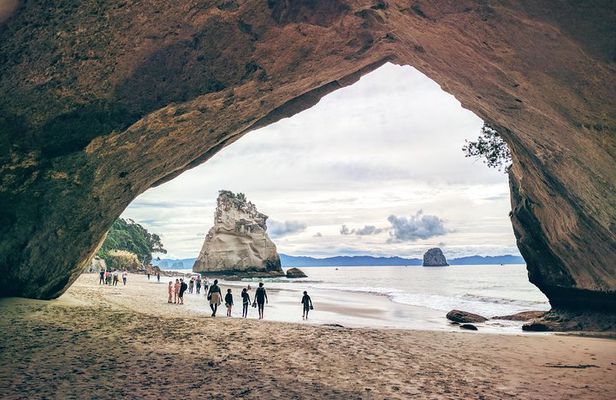 Cathedral Cove Day Trip from Auckland