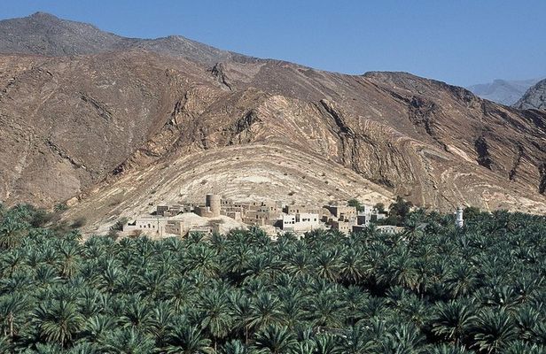Cool and Green Jabal Akhdar Tour from Muscat