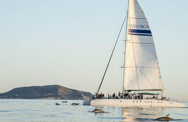 Day Catamaran Trip: Cap des Freus and Llevant Natural Park