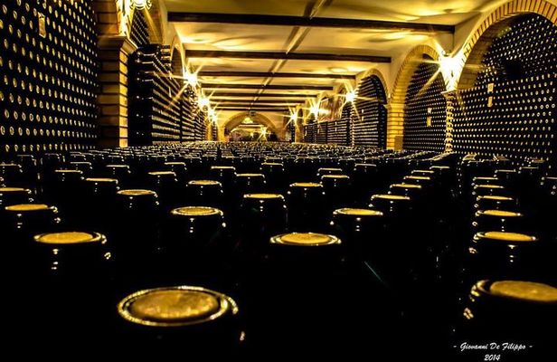 Cantine Bosco Nestore - Wine tour e Tasting