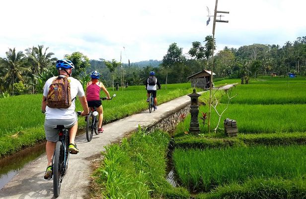 Half-Day Electric Cycling Tour of Ubud
