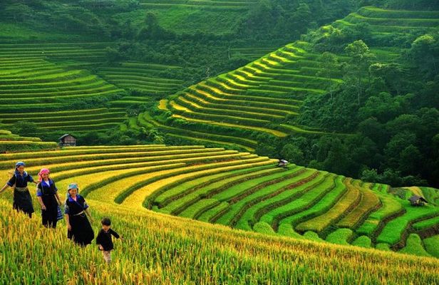 Sapa Trek Tours -2D1N Stay At 3*** -TRANSFER BY SLEEPING BUS