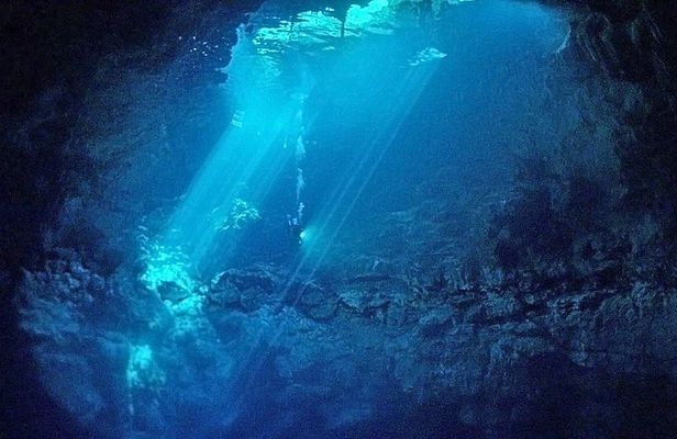 Cenotes 2-Tank Dive in Playa del Carmen/for certified divers only