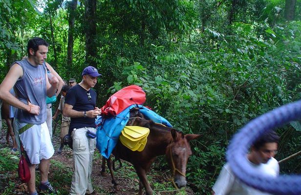 The Chagres Challenge - a full day jungle expedition from sunrise to sunset