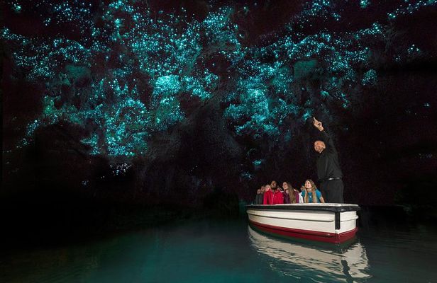 Hobbiton Movie set & Waitomo Caves Small Group Tour From Auckland