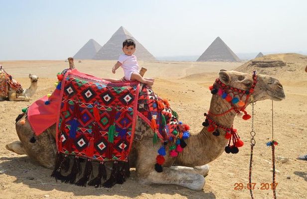 Layover tour in Cairo Visit Giza Pyramids and Sakkara and Dahshour and memphis