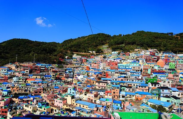 Busan Shore Excursion Tour ( Return to the Cruise Guaranteed )