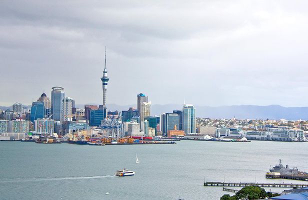 Auckland City Highlights, Afternoon Piha Beach & Rainforest Tour