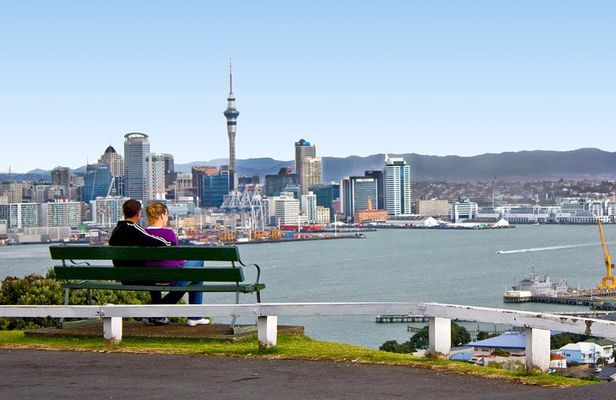 Auckland City Small-Group Morning Discovery Tour
