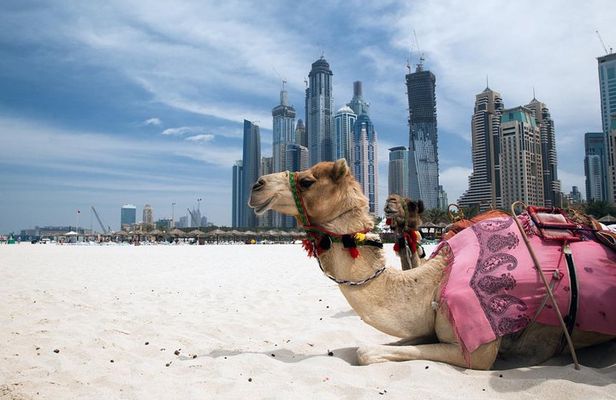 Full Day Dubai Tour with Lunch and Entry to Burj Khalifa