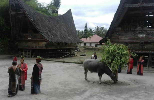 6 Day North Sumatra Highlights - Jungles Orangutans Lakes and Volcanoes