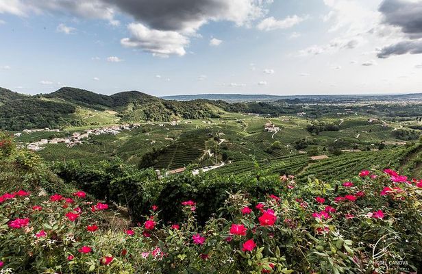 Private Prosecco Tour, with a certified Sommelier 