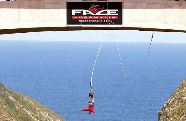 3 Day Big 5 and Bungee Tour - Garden Route Small Group Tour from Cape Town
