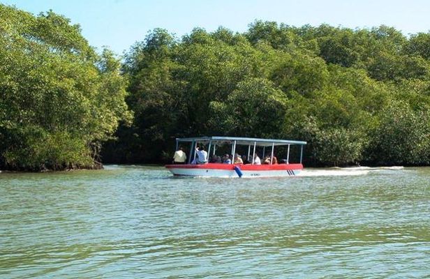 Damas Island by Boat Tour From Manuel Antonio