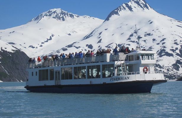 Portage Glacier Cruise and Wildlife Explorer Tour