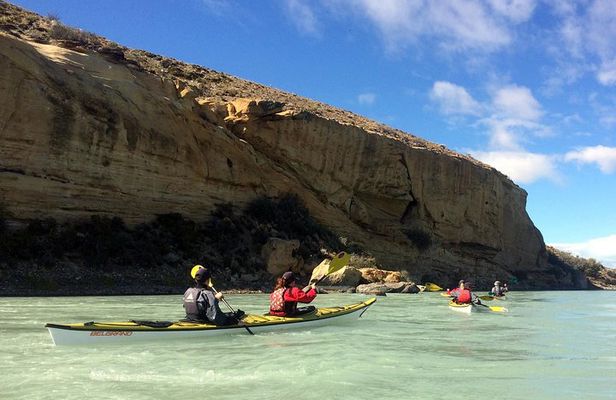Kayak Full-Day Activity in La Leona River from El Calafate