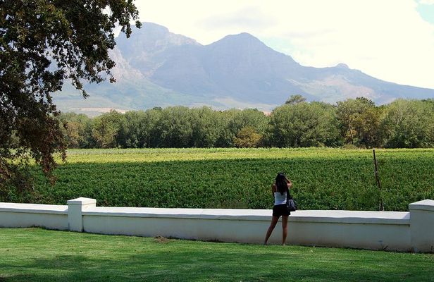 African Story Wine Tours in the Cape Winelands