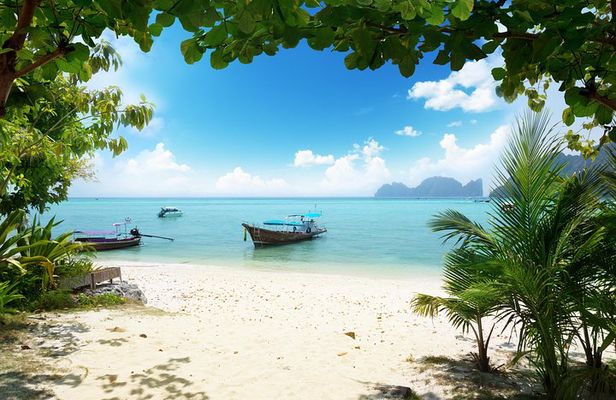 Phuket to Phi Phi Islands By Express Ferry including Lunch