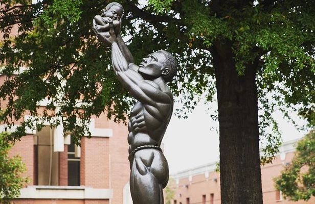 Private Atlanta History Tour From Civil War to Civil Rights