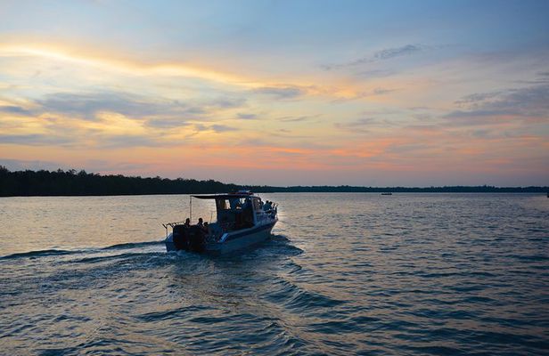 Shared Mangrove & Irrawaddy Dolphin Watching Cruise