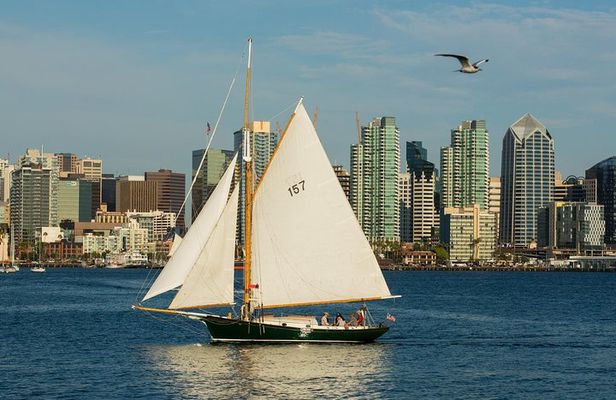 Private Afternoon Sailing Adventure
