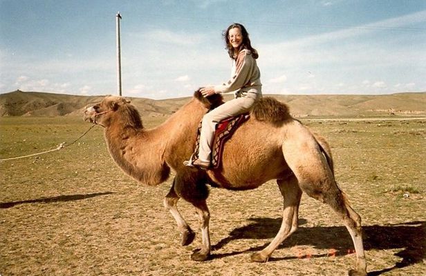 1 Day Coach Tour of Terelj National Park Including Lunch And Free Camel Ride