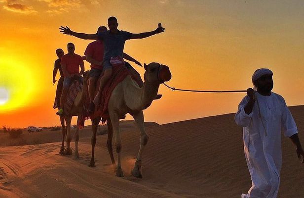 Morning Desert Safari:Dune Bashing Experience with Camel Ride