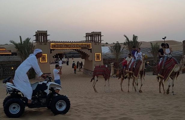 Morning Desert Safari With Quad Bike & Camel Ride Experience