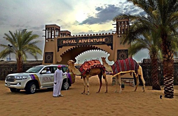 Desert Safari Evening Tours:- Special Rides, BBQ Buffet ,Live Entertainment