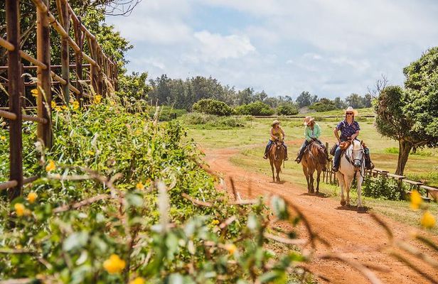 Horseback Ride Like an Authentic Paniolo in Kahuku