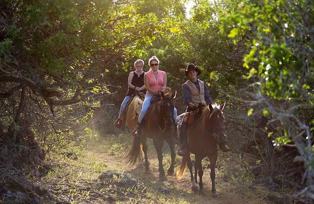 Oahu Sunset Horseback Ride