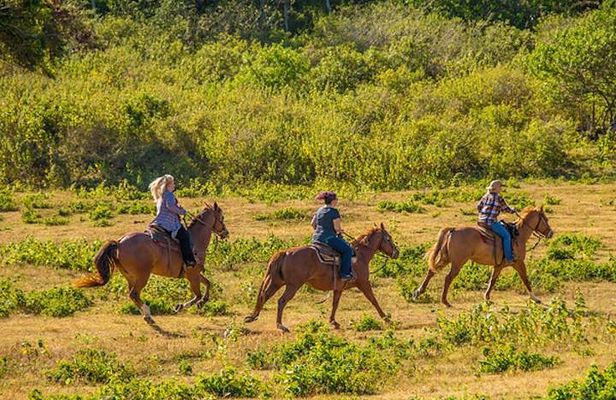 Private Advanced Trail Ride