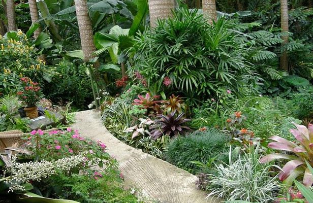 Taste of Barbados Full-Day Sightseeing tour