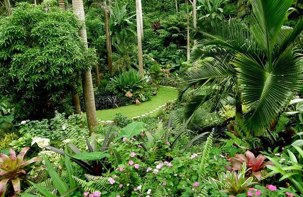 Hunte's Garden and St Nicholas Abbey small group Barbados tour
