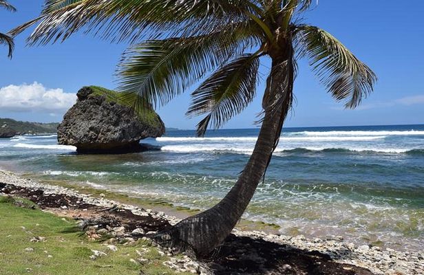 Explore and Discover Barbados By Land & By Sea