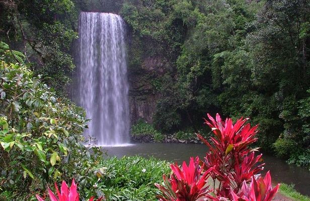 Day Tour to Paronella Park, Lake Barrine and Millaa Millaa Falls