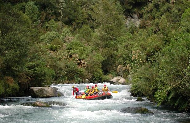 Rangitaiki River White Water Rafting from Rotorua
