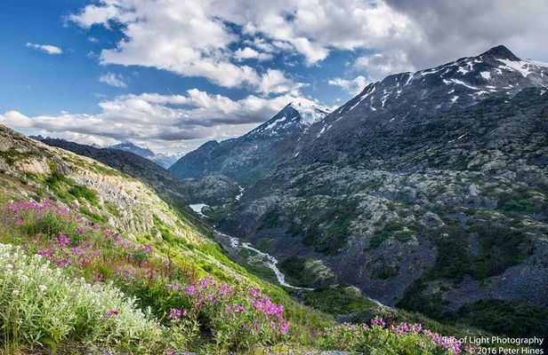 Yukon Suspension Bridge and Summit Tour