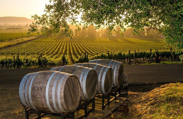 Fredericksburg Wine Tour with Three Winery Stops Plus Lunch