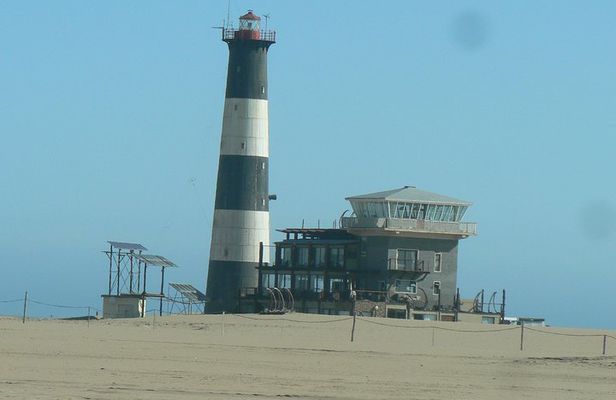 Pelican Point Peninsula Tour- visit the seal colony