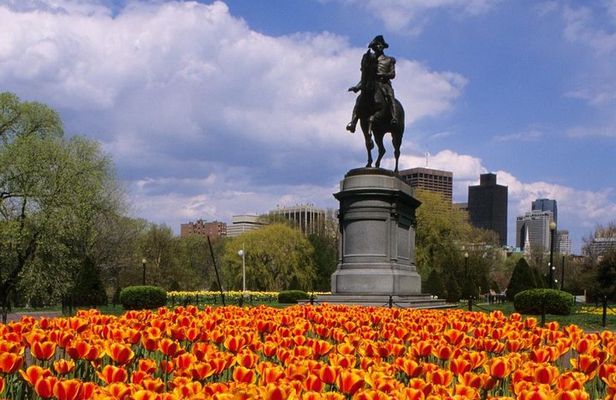 Private Customized Walking Tour of Boston