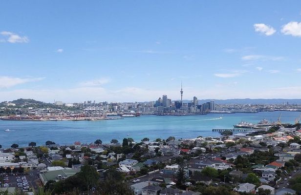 Half-Day: Small Group Auckland Scenic Tour - 4 HOURS