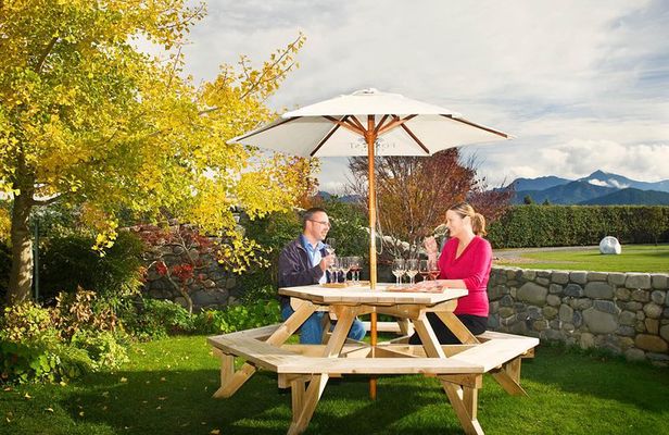 Half-Day Wine Tour from Blenheim