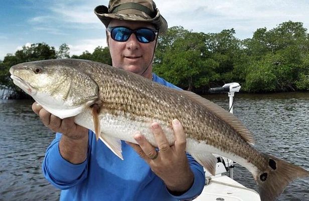 Amelia Island Inshore Fishing Charter