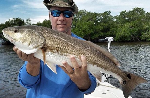 Sarasota Inshore Fishing Charters