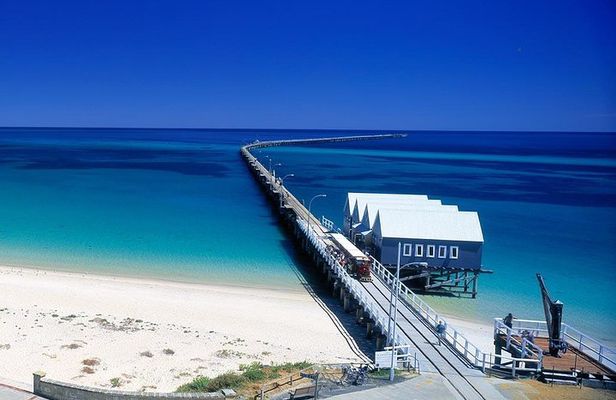 Full-Day Busselton Jetty, Train Ride & Dophin Discovery