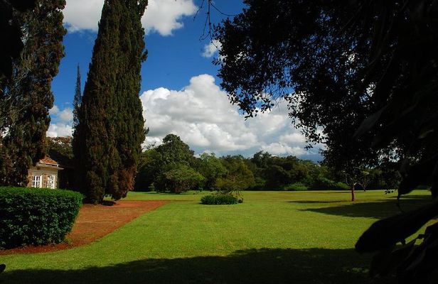 Out of Africa Tour: Giraffe Centre and Karen Blixen Museum from Nairobi