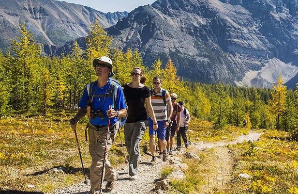 Banff National Park Guided Hike with Lunch