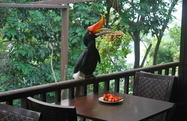 Kuala Lumpur Bird Park Admission Ticket with Private Pickup