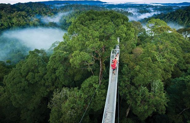 Full Day Trip of Brunei Ulu Temburong National Park including Canopy Walk